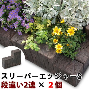 RN[g Ԓd X[p[GbW[ S-A×2(N82064) Ԓd RN[g RpNg  ~ Av[` ʘH [ A Ȃ v K[f GNXeA yz nxt