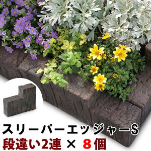 RN[g Ԓd X[p[GbW[ S-A×8(N82125) Ԓd RN[g RpNg  ~ Av[` ʘH [ A Ȃ v K[f GNXeA yz nxt
