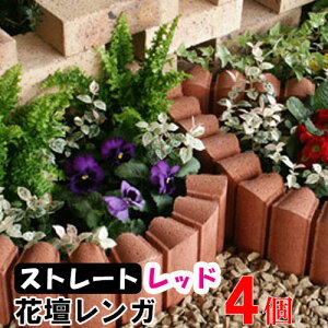 ԒdubN t[K[fBACg bh Xg[g ×4(N96061) @Ԓd Ԓd Ԓd K ubN { A d {H y  K[f GNXeA  y