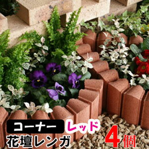 ԒdubN t[K[fBACg bh R[i[ ×4(N96085) Ԓd Ԓd Ԓd K ubN { A d {H y  K[f GNXeA  yz nxt