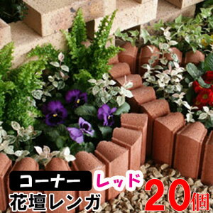 ԒdubN t[K[fBACg bh R[i[ ×20(N96092) Ԓd Ԓd Ԓd K ubN { A d {H y  K[f GNXeA  yz nx