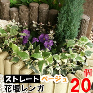 ԒdubN t[K[fBACg CG[ Xg[g ×20(N96115) Ԓd Ԓd Ԓd K ubN { A d {H y  K[f GNXeA  y