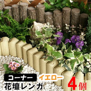 ԒdubN t[K[fBACg CG[ R[i[ ×4(N96122) Ԓd Ԓd Ԓd K ubN { A d {H y  K[f GNXeA  yz 