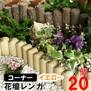 ԒdubN t[K[fBACg CG[ R[i[ ×20(N96139) Ԓd Ԓd Ԓd K ubN { A d {H y  K[f GNXeA  yz