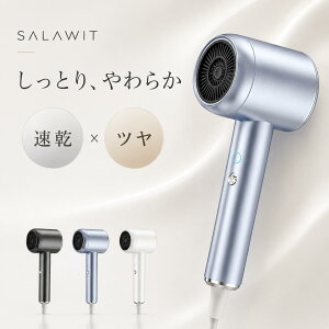 �_���Ԍ��艿�i!!�^ �h���C���[ ���� �啗�� 1300W AI���[�h �w�A�h���C���[ �ቷ���� �}�C�i�X�C�I�� �����h���C���[ �w�A�[�h���C���[ �_���[�W ��M�� �y�� �ᑛ�� ���e�Ɠd �R���p�N�g �w