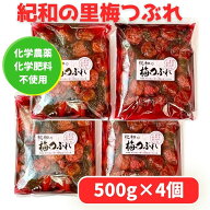 【2kg（4袋セット）】畑農園 紀和の梅つぶれ 梅干 自然農法 無農薬栽培 国産 無添加 訳アリ 500g 4袋