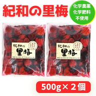 【1kg（2個セット）】畑農園 紀和の里 紀和の里梅 梅干 自然農法 無農薬栽培 国産 無添加 500g 2袋【メー…