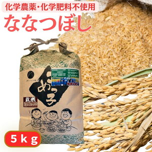 無農薬 玄米 5kg」の人気商品一覧・価格比較 - 価格.com