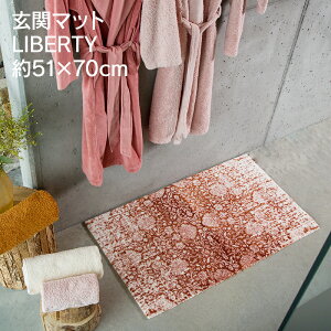 玄関マット コットンの人気商品 通販 価格比較 価格 Com