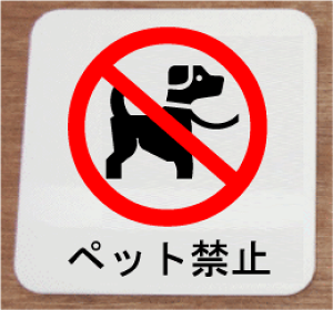 D ύX XeXy200×200z v[g 傫TCY D v[g  bigTCY rbOTCY }[N W Ŕ TC v[g 傫 rbO TCY BIG sN