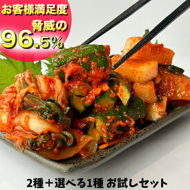 キムチ 2種＋選べる1種お試し3品セット 送料無料 白菜キムチ 手作り 人気 辛いキムチ 美味しいキムチ お取り寄せ きむち 激辛 キムチ鍋 おいしいキムチ 辛党 着色料 無添加 大阪 鶴橋 サムギョプサル チヂミ 豚キムチ スンドゥブ チゲ