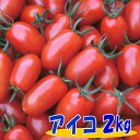 訳ありミニマトマト アイコ（赤）2kg　岩手県産【国産】【訳あり】【ミニトマト】【トマト】