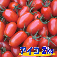 訳ありミニマトマト アイコ（赤）2kg　岩手県産【国産】【訳あり】【ミニトマト】【トマト】