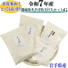 令和7年産　機械挽きそば粉手打ちセットつなぎに銀河のちから（そば粉500g×2・そばの打ち粉300g・強力粉500g）そばの打ち方レシピ付き 挽きぐるみ 手打ちセット 田舎