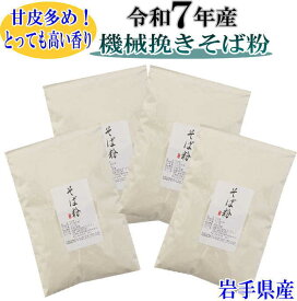 令和7年産 そば粉2kg（500g×4）岩手県産 そばの打ち方レシピ付き 国産 挽きぐるみ グルテンフリー そば粉 田舎