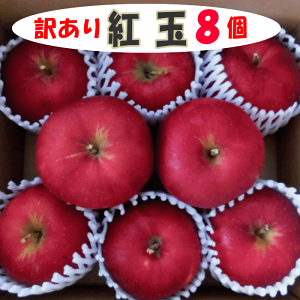 󂠂 g 8 XYE茧Y 󂠂 g ƒp H َq