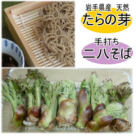 ＜この時期限定！＞天然たらの芽と手打ち石臼挽き二八そば（生）4人前（つゆ付き）【たらの芽】【山菜】【山菜セット】【手打ちそば】【二八そば】【国産】【手打ちめん】【そば】【父の日】【母の日】