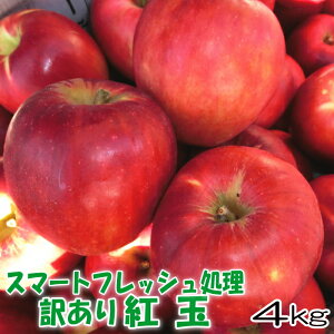 󂠂 gʁ@4kgyX}[gtbVzXYE茧Y@󂠂@񂲁@ƒp