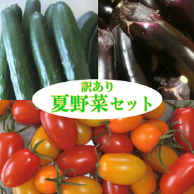 夏野菜セット 3品種 訳あり　ミニトマト 『アイコ』と『きゅうり』と『なす』　岩手県産【国産】【訳あり】【ミニトマト】【アイコ】【きゅうり】【なす】
