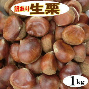 󂠂萶I 1kg@XYyYzyEzy󂠂zyIzyIz