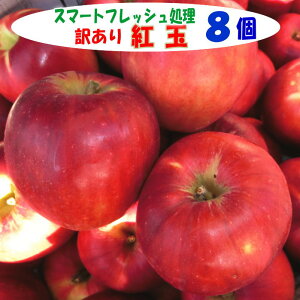 󂠂 g 8 yX}[gtbVzXYE茧Y 󂠂 g ƒp H َq