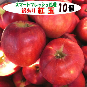 󂠂 g 10 yX}[gtbVzXYE茧Y 󂠂 g ƒp H َq