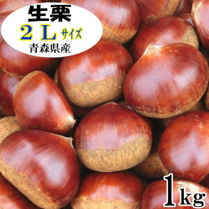 y݌ɌI|Cg20{z2LTCY I 1kg@XYyYzyIzyIzyEIz