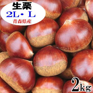 2L・Lサイズ 生栗2kg 青森県産【殺虫栗】【国産】【栗】【生栗】【殺虫】