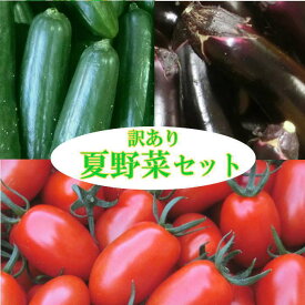 夏野菜セット3品種 訳あり　ミニトマト 『アイコ』と『きゅうり』と『なす』岩手県産【国産】【訳あり】【ミニトマト】【アイコ】【きゅうり】【なす】