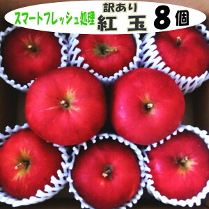 󂠂 g 8 yX}[gtbVzXYE茧Y 󂠂 g ƒp H َq