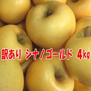 󂠂 VimS[h4kg XY 󂠂  ƒp