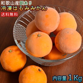 【訳あり】冷凍はるみ 和歌山県産 1kg ご家庭用 はるみみかん 送料無料（北海道・沖縄除く）（同梱不可）