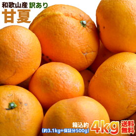 【訳あり】甘夏 あまなつ 和歌山県産 4kg（箱込約4kg） ご家庭用 送料無料（北海道・沖縄除く）