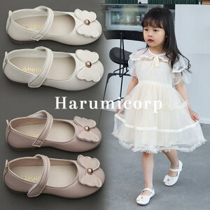 qC tH}[V[Y ̎q hXV[Y  sAm \ C  pvX _XV[Y  qǂC WjA xr[ tH}[C LbY   ʊw 