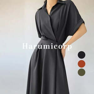 s[X  fB[X ꂢ n Os[X }LV䃏s[X AC 40 50 d p[eB[hX  I Ă΂ 񎟉 傫TCY  w 