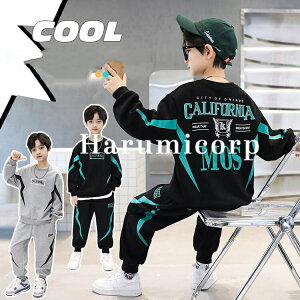 q ㉺Zbg XEFbg2_ZbgAbv g[jOEFA Y{ c j̎q X|[cEFA LbY q tHV 2F