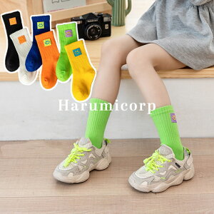 C LbY 3Zbg ̎q j̎q q? \bNX XgbLO MX jbg X|[c ^Cc WjA xr[ Ԃ  j ۈ牀 c w  ʊw ʉ  