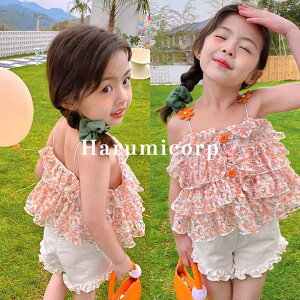 ZbgAbv LbY q ̎qVc L~ԕ n[tpc   ؍ǂ t  xr[ WjA gbvX {gX w  ۈ牀 ct a v[g 