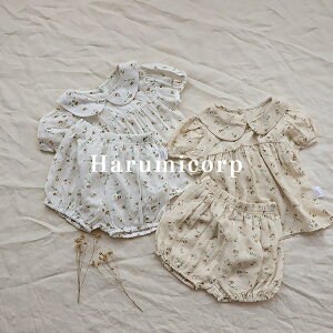 ZbgAbv LbY xr[ ̎q j̎q   Vbgpc q [EFA ㉺Zbg V Ԃ  pW}   a oYj v[g 