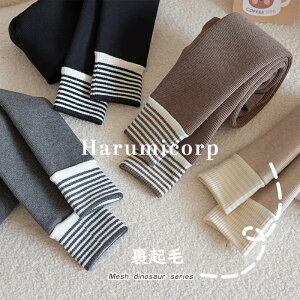 ^Cc LbY ̎q tH~ 2t N jbg^Cc q 㕪 XgbLO MX pc q xr[ ؍q Ԃ  {gX    Vv