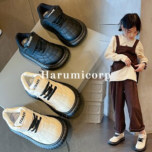 Xj[J[ LbY q C ̎q j̎q y xr[C V[Y ^C WjA qǂC LbYC Ԃ  X|[c    w w ۈ牀 ct  a v