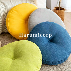 zc NbV 42cm 55cm tANbV ی` k `FApbh ֎qp ~`  a  `FANbV   ItBX CX  xbh 킢 ԂƂ l q 