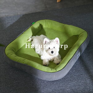 ybgxbh L  􂦂 NbV ybgnEX \t@[ ӂӂ Lp p lRxbh LbgnEX pxbh ybgpQ ybgpi ۉh  g  