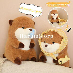 ʂ Jso  ʂ    av[g CeA X JJot jv[g30cm