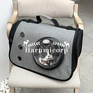  L[obO Lp V_[L[ p ybgL[ hCu{bNX ԗp ybgobO J[et 񂰃L[ ybgpi o ʉ@ LL[ ʋC 