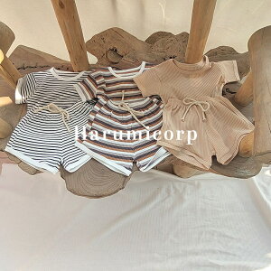 xr[ ZbgAbv LbY ̎q j̎q S tVc   n[tpc q gbvX Y{ ؍q ĕ   V  Ԃ [EFA pcZbg 