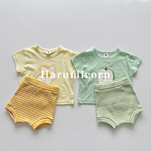 xr[ ZbgAbv LbY ̎q j̎q S tVc   n[tpc q gbvX Y{ ؍q ĕ   V  Ԃ [EFA pcZbg 