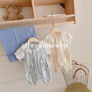 p[X  Ԃ xr[  OJ {fBX[c oY oYj V 킢  ؍ j̎q ̎q c _炩 xr[ q t  [EFA  