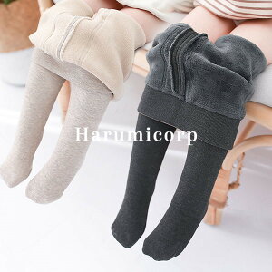 ^Cc LbY N H~ XgbLO q ̎q MX q C jbg^Cc ؍q WjA xr[ Ԃ  {gX pc t g   