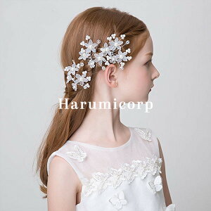 wAANZT[ q wAs 4_Zbg  LbY wbhhX tH[} hX sAm \  Ǝ a uC_ 񂴂 LOʐ^ 񎟉 ԉΑ 